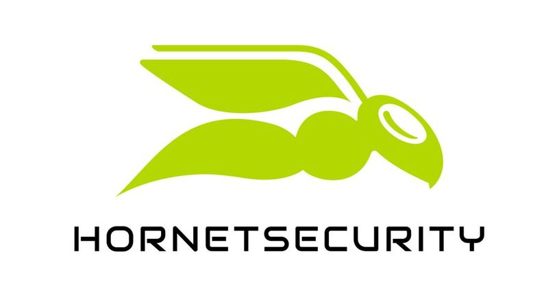 hornet